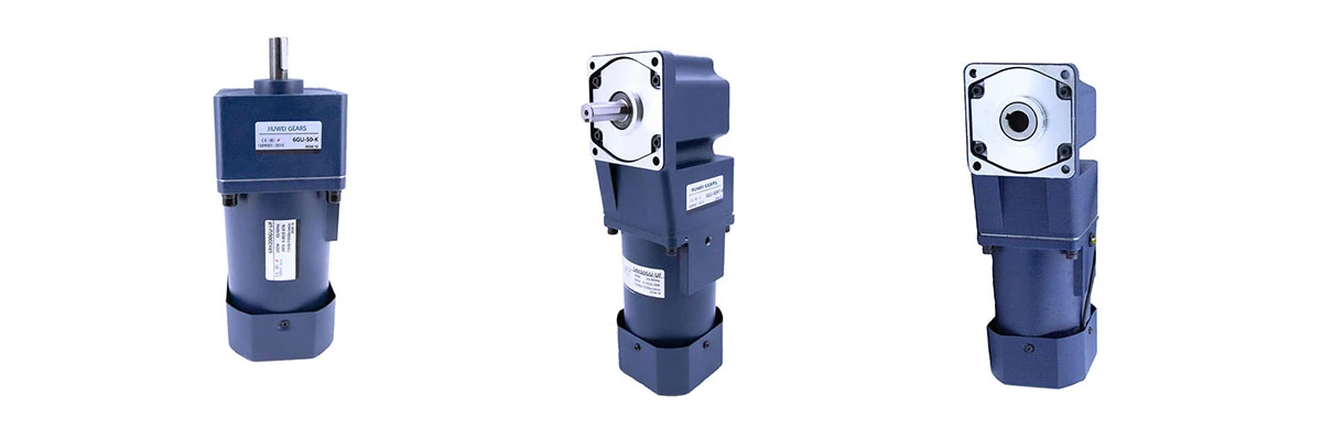 Gear Motor Single Phase Gear Motor Single Phase