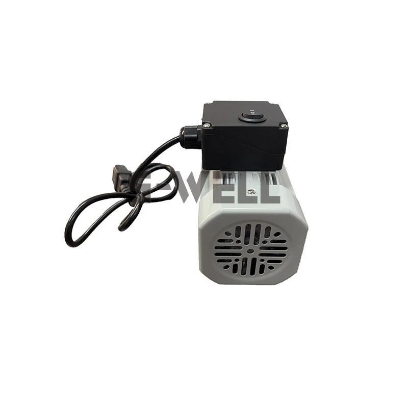Single Phase Gear Motor 2